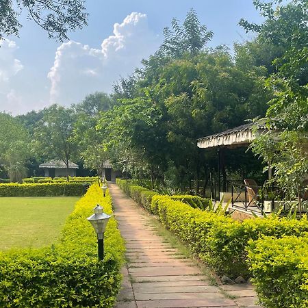 Sariska Tiger Heaven Hotel Akbarpur  Kültér fotó